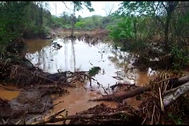 Chuva foi concentrada na região de Poço Cercado, localidade de Parambu