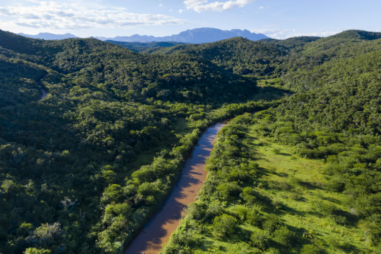 Licença ambiental: consulta a povos tradicionais gera embate em Minas