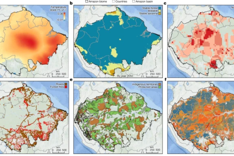 Parte da Amazônia pode atingir ponto de inflexão e entrar em colapso até 2050, aponta pesquisa
