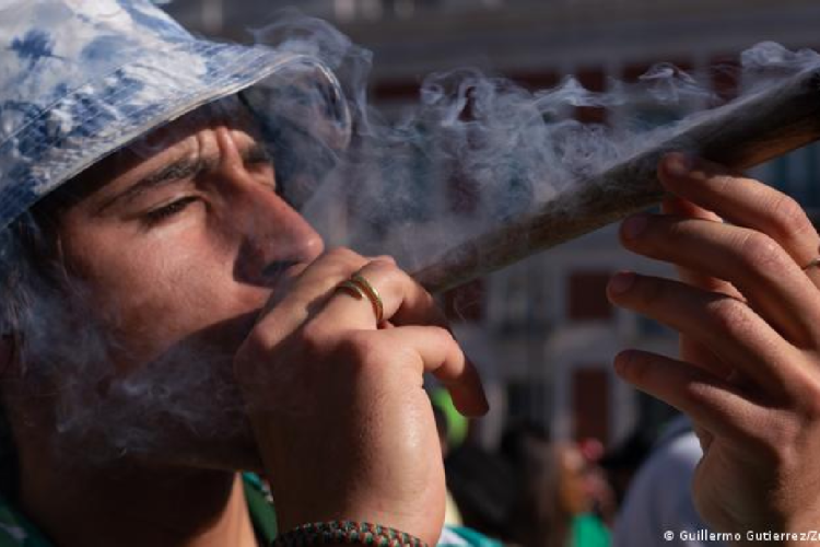 A maconha deve ser legalizada? Entenda se ela é ou não é perigosa para a saúde humana