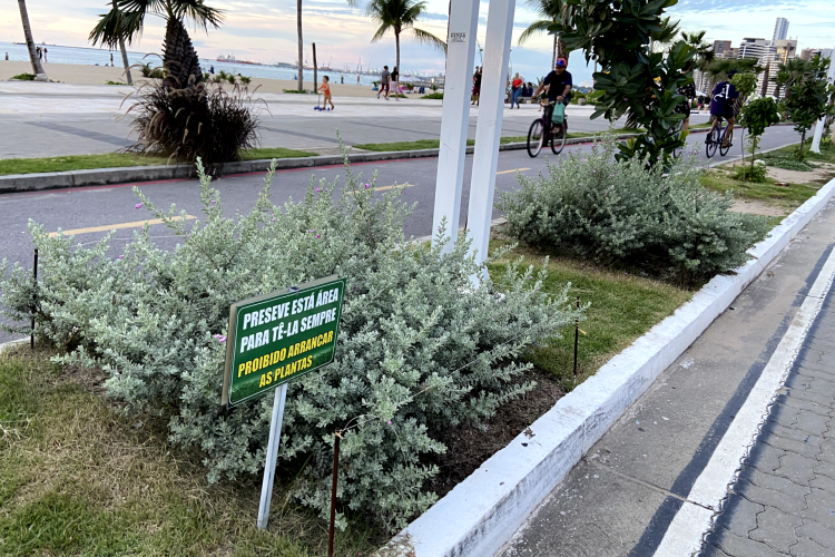 Os canteiros cultivados por funcionários das barracas chama atenção dos transeuntes 