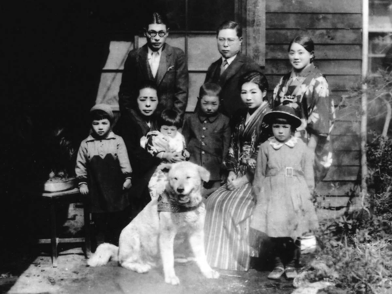 O cachorro chamado Hachiko, nascido há cem anos (10/11/1923) no Japão,  ganhou fama mundial como o 