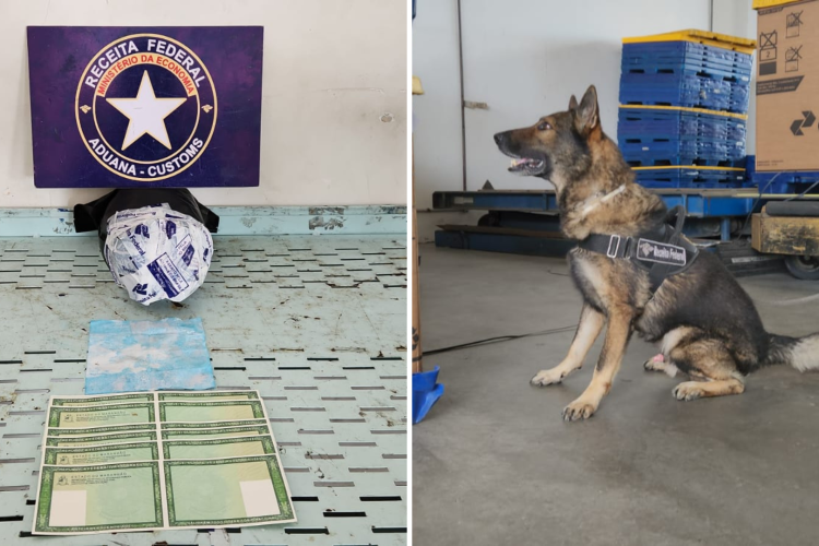 Cerca de 1,2 kg de cocaína mascarada como creatina é apreendida no Aeroporto de Fortaleza
