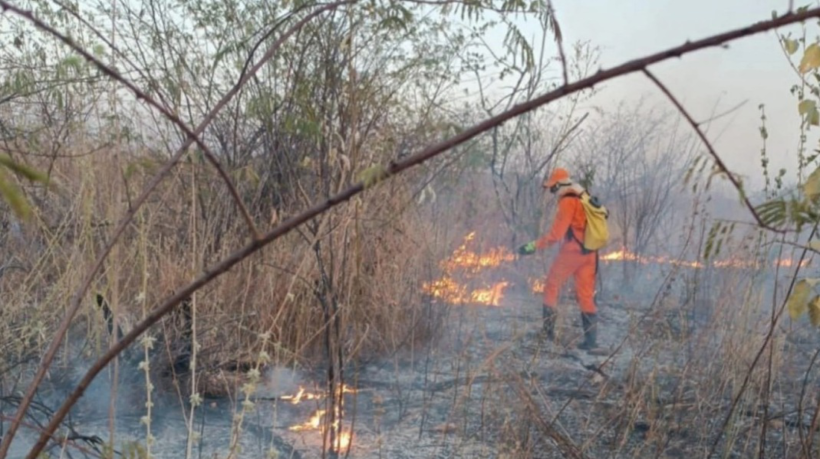 Ceará teve um aumento de 23,5% nos registros de focos de incêndio em 2024