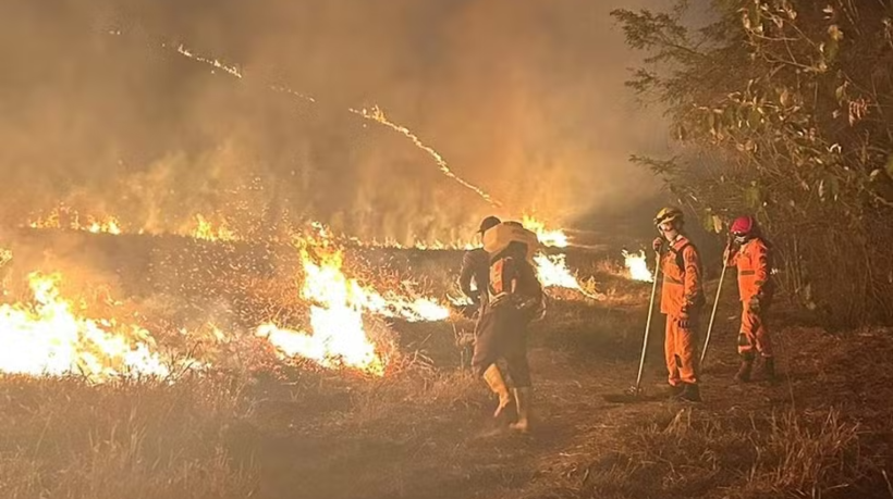 Irmão morrem carbonizados ao tentar conter incêndio em vegetação na zoza rural de MG
